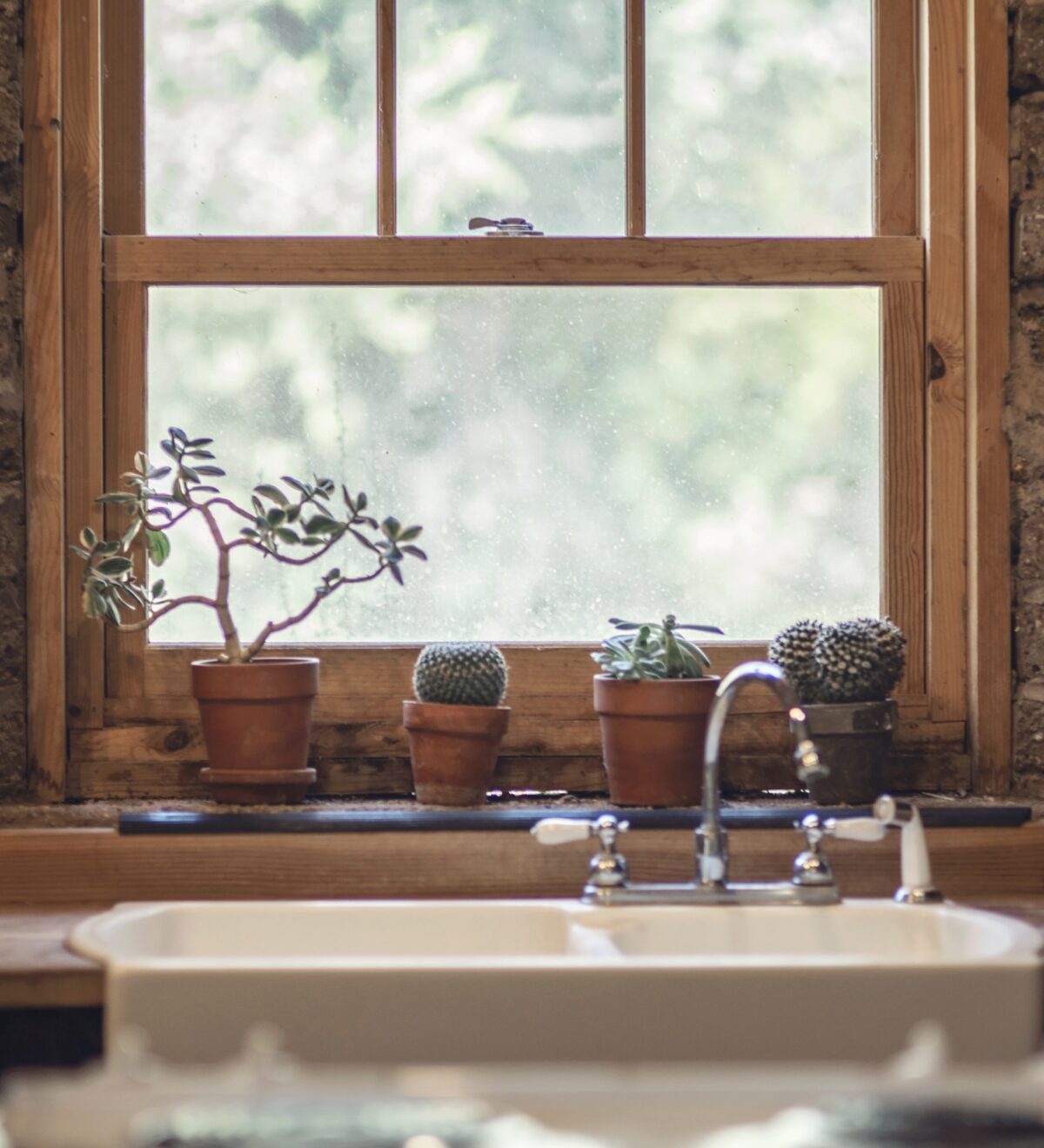 Swamp Oak windows and doors